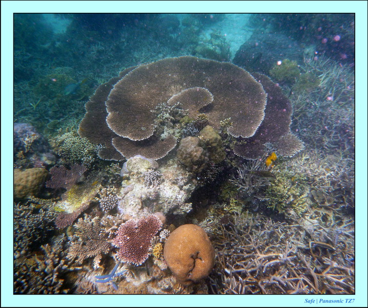 2009    07    Manatabuan 17